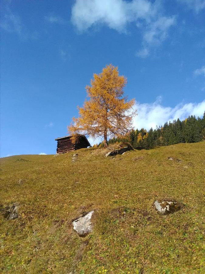 Ferienwohnung Felix-Adults Only Neustift im Stubaital Esterno foto